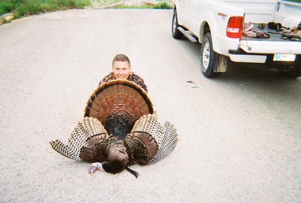 My 2012 Eastern Turkey Harvested 4/29/2012, 23 lbs. 10" Beard & 7/8 Spurs. My most exciting hunt to date.