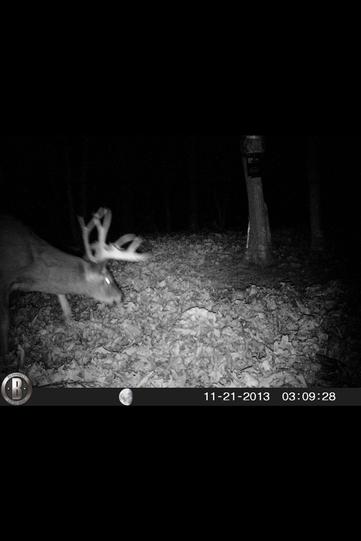 2013 Trail Cam Ohio