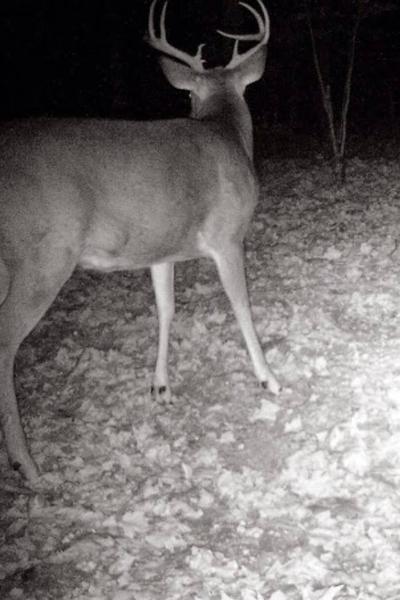 2014 Trail Cam Ohio