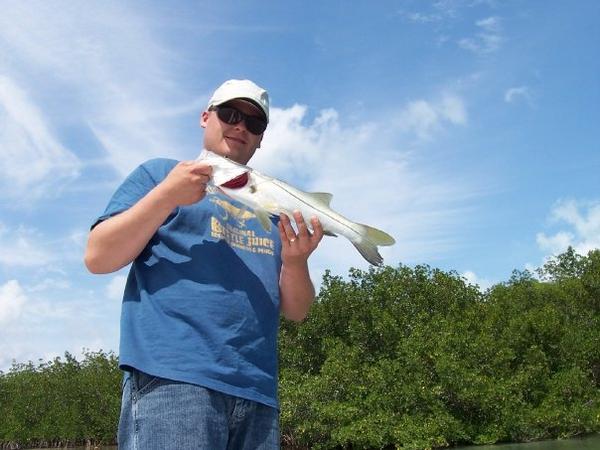 little snook, Key Largo Fla.