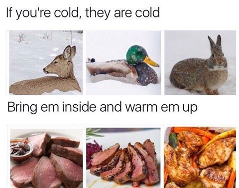 If you are cold