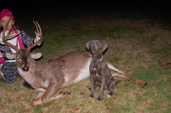 Kaylie and my proud Blue lacy (Remington). This was his first track and he did great. Good thing the deer only ran 50 yards and stayed in the food plot to die (but it was dark)!