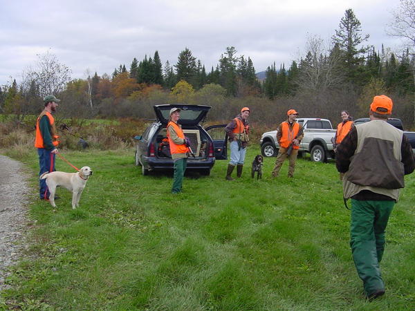 Grouse Hunting Jefferson, NH