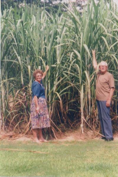 Ma N Pa Cane Growers Inc.