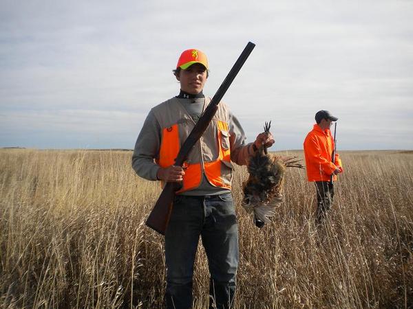 pheasant hunting in North Dakota