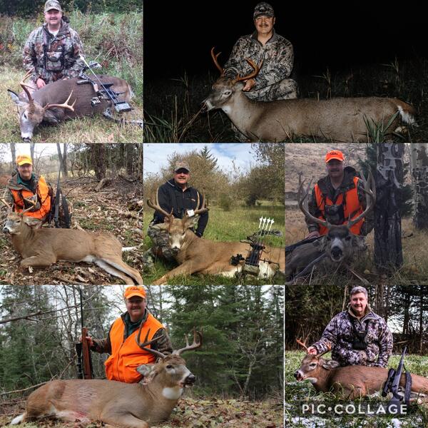 Bucks from 2014 - 2020