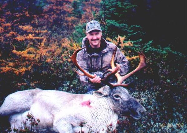 Woodland Caribou Newfoundland 2003