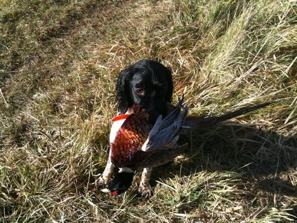 Riley during first outing of the year.