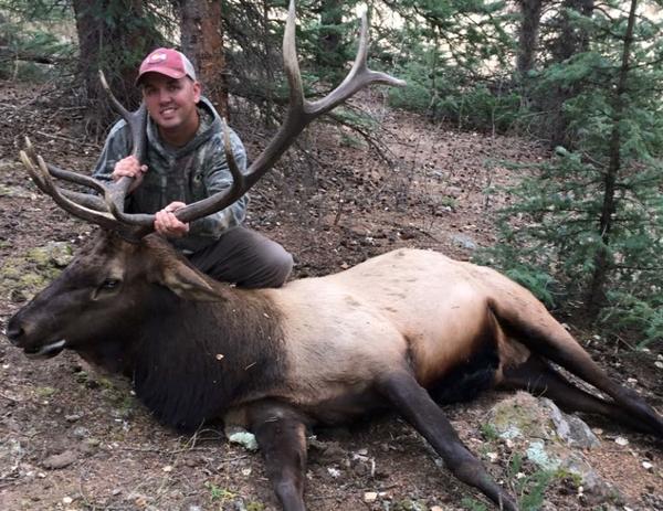 2016 Bull taken in GMU 66 during the second rifle season from 200 yards.