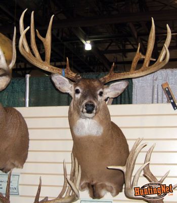 Iowa Deer Classic – AWESOME WHITETAILS!!!